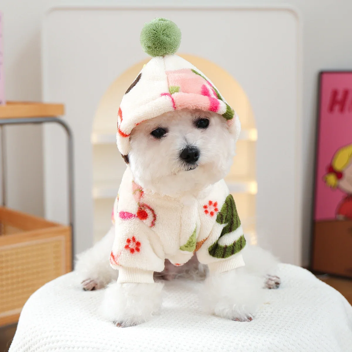 Puppy Clothes Are Thickened an - Winter Clothing Must Haves 评论和价格