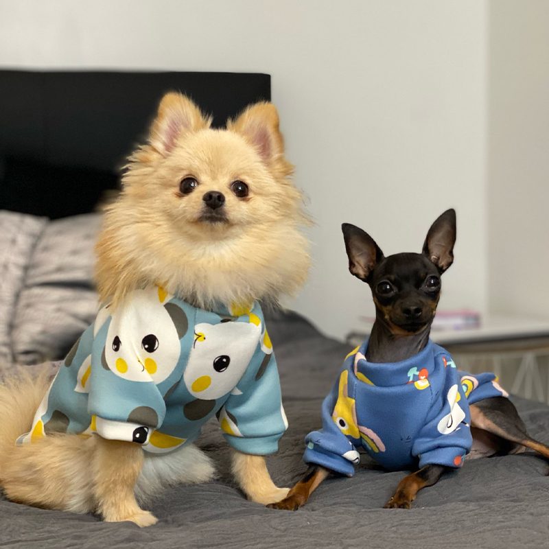 Xs Dog Clothes for Small Dogs  - Winter Clothing For Toddlers 评论和价格