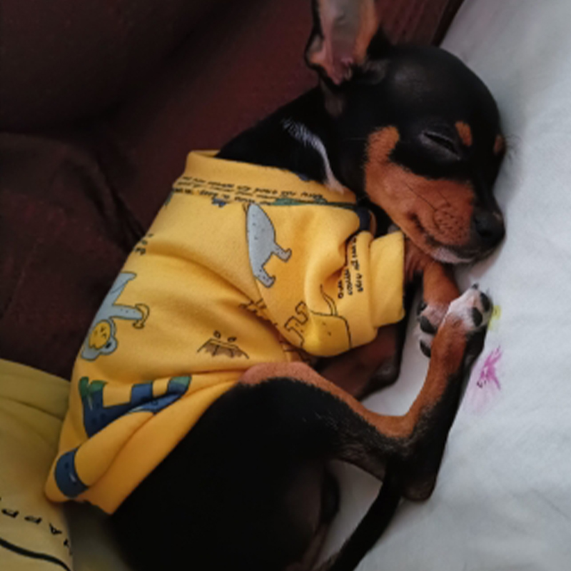 Xs Dog Clothes for Small Dogs  - Winter Clothing For Toddlers 评论和价格